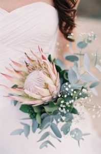 img 20251104 wa0013