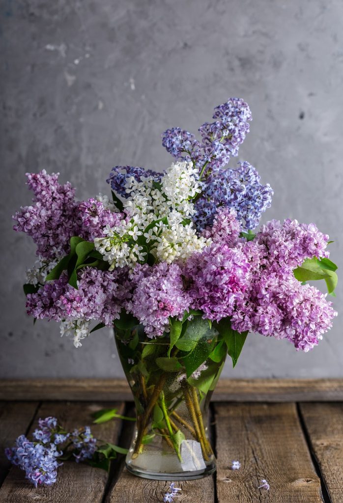 lilacs, bouquet, nature, happy mothers day, vase, flowers, flower background, flower wallpaper, flower vase, centerpiece, purple flowers, bloom, blossom, flora, plants, rustic, beautiful flowers, still life