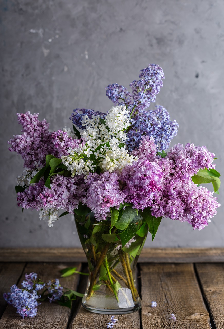 lilacs, bouquet, nature, happy mothers day, vase, flowers, flower background, flower wallpaper, flower vase, centerpiece, purple flowers, bloom, blossom, flora, plants, rustic, beautiful flowers, still life
