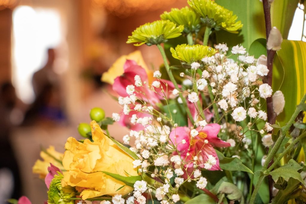 pink-and-white-flowers-in-tilt-shift-lens-wv-osxg7hls